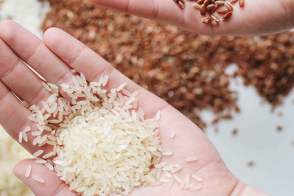 What is the rice hack diet?