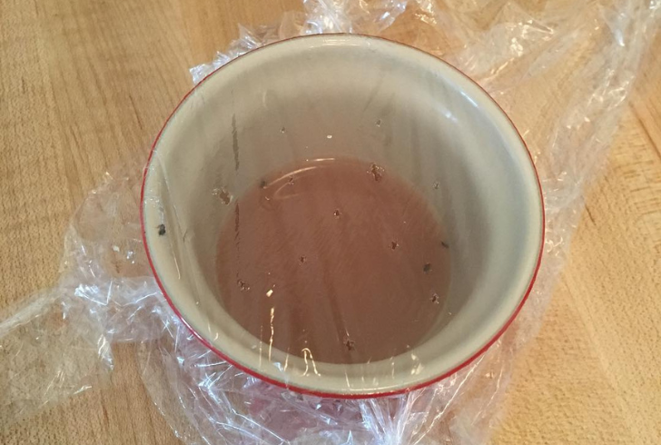 Homemade apple cider vinegar fly trap
