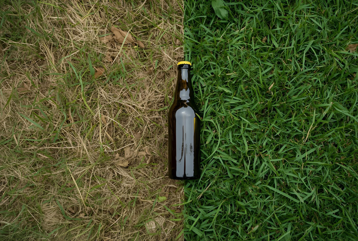 Damaged lawn patch after beer use